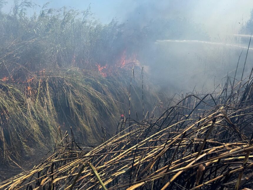 grecia sub asediul incendiilor 60 de focare in doar 24 de ore 6a4a7cb5b2a21