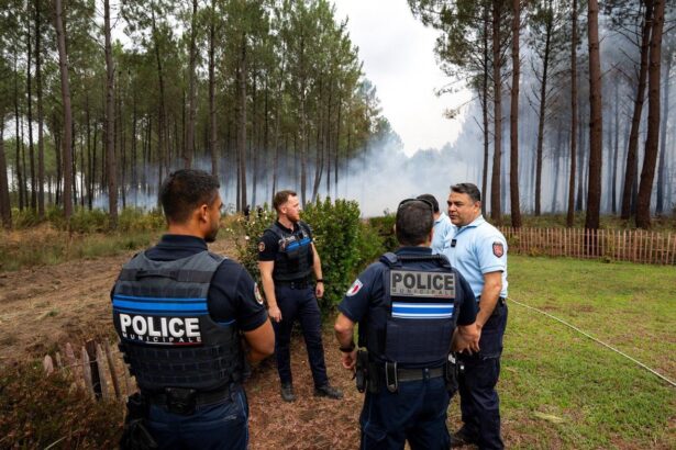 incendii devastatoare 300 000 de persoane evacuate in franta si spania turistii sunt sfatuiti sa evite regiunea bordeaux 6a66e1b16da9c