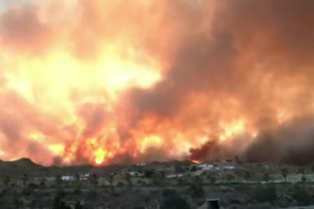 incendiile de vegetatie afecteaza doua regiuni din italia un aeroport a fost inchis 6a5296e896175
