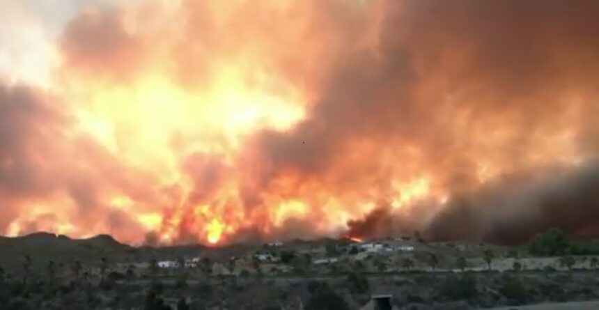 incendiile de vegetatie afecteaza doua regiuni din italia un aeroport a fost inchis 6a5296e896175