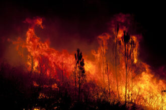 incendiile de vegetatie fac ravagii in franta aproape 1 000 de hectare au ars in pirinei 6a4a307c798af