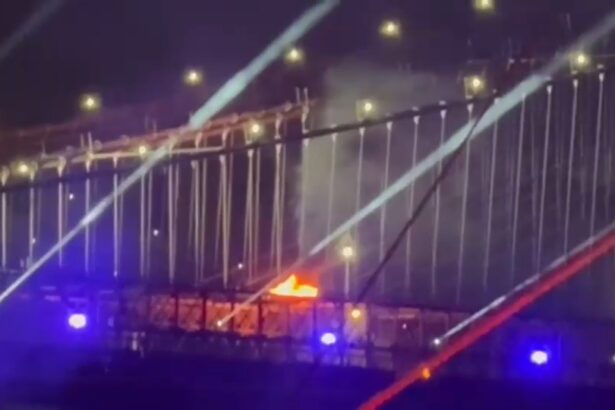 incendiu pe podul brooklyn in timpul focului de artificii de 4 iulie spectacolul a inceput mai devreme din cauza furtunilor 6a49dc7a4b64f