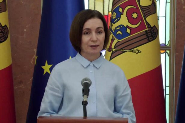 maia sandu a desemnat noul candidat pentru functia de premier al republicii moldova cine e vasile tofan 6a52125aa4001