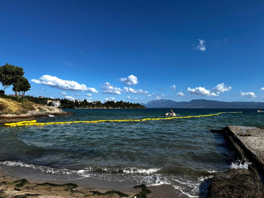 masura neobisnuita in grecia bariere plutitoare pentru a opri un peste toxic 6a4b800a64d6d