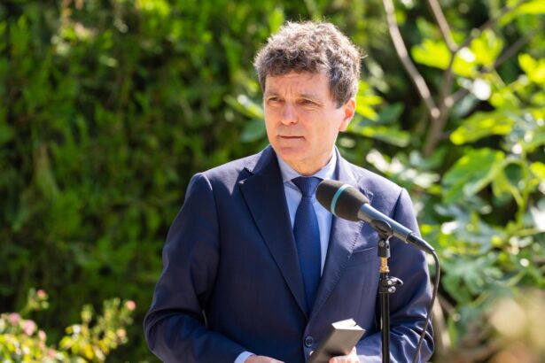 nicusor dan despre mesajul diicot la adresa lui pislaru facem o mare discutie dintr o ironie in spatiul public 6a59068ba571a