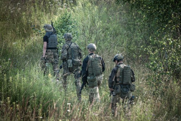 o tara care se invecineaza cu rusia anunta ca vrea sa colaboreze cu nato 6a46be73349c7