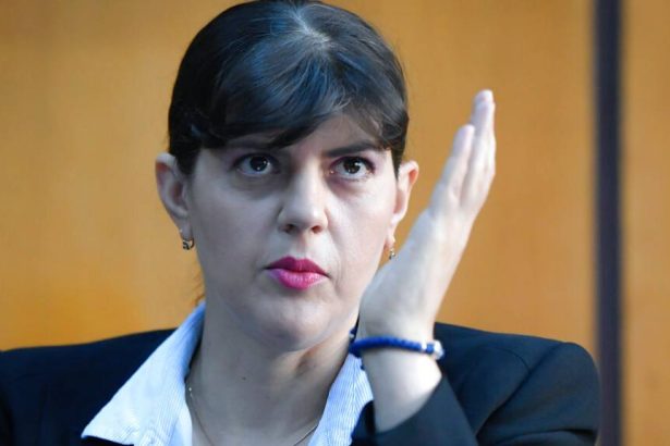perchezitii eppo condus de laura codruta kovesi in mai multe state ue impotriva lui jordan bardella principalul candidat la presedintia frantei 6a44fa168f194