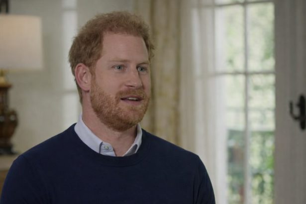 printul harry criticat de un fost sef al protectiei regale pentru obsesia sa pentru securitate 6a46536fa8998