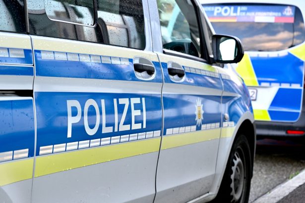 razie in berlin romani printre persoanele vizate intr o ancheta privind fraudele cu ajutoare sociale 6a47b5e825620
