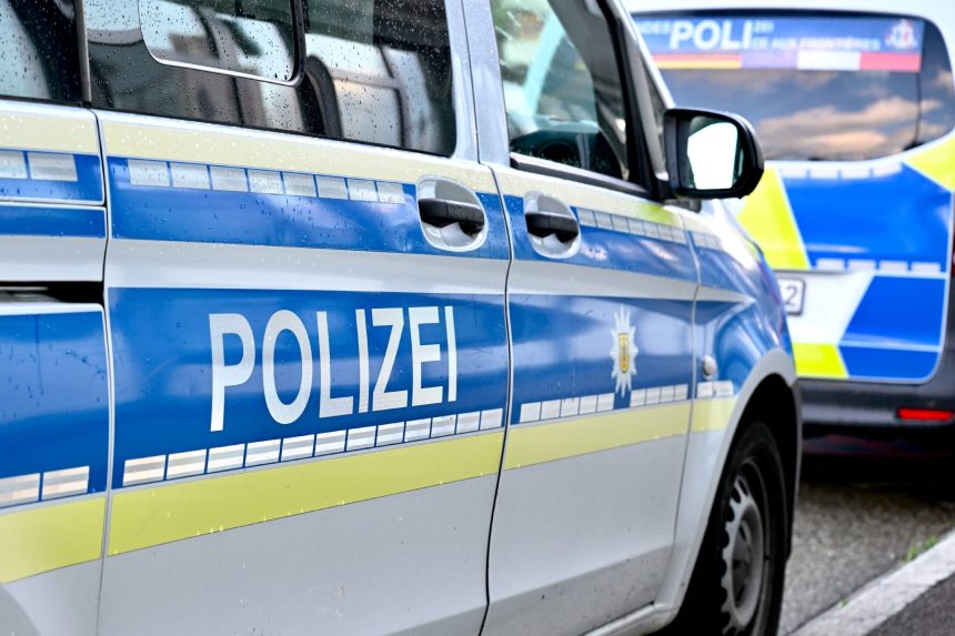 razie in berlin romani printre persoanele vizate intr o ancheta privind fraudele cu ajutoare sociale 6a47b5e825620