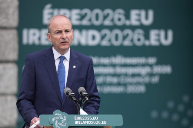 scandal exploziv in irlanda din cauza vanzarilor continue de alumina catre rusia 6a48a39a88a70