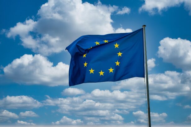 schimbare majora la nivelul ue miliardele din achizitii publice folosite ca arma economica 6a5066bfd6a57