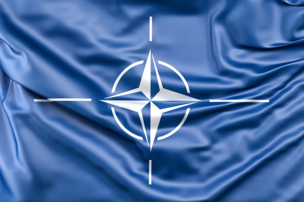 summitul nato de la ankara planul frantei pentru rearmonizarea relatiilor cu sua si strategia pentru apararea europei 6a47d15d5bbeb