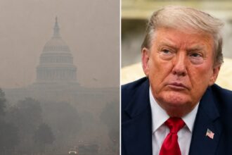 trump ameninta canada cu noi tarife din cauza fumului incendiilor finala cupei mondiale sub monitorizare 6a5b07dad60d2