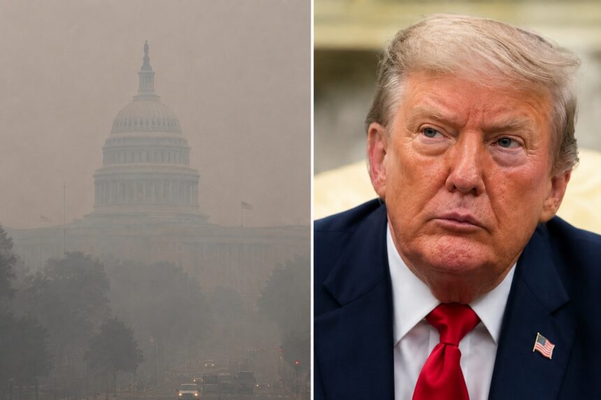 trump ameninta canada cu noi tarife din cauza fumului incendiilor finala cupei mondiale sub monitorizare 6a5b07dad60d2
