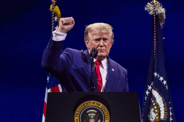 trump va discuta cu zelenski la summitul nato despre razboiul din ucraina 6a4b375e35327