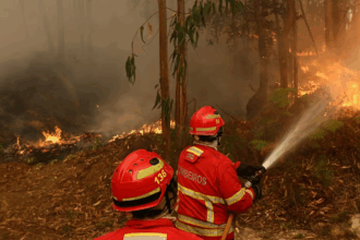 ue trimite avioane si sute de pompieri pentru a face fata incendiilor devastatoare din portugalia si franta 6a4b9b094afb9