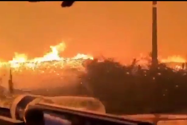 vacante transformate in cosmar din cauza incendiilor de vegetatie turistii din franta si spania nevoiti sa fuga din calea flacarilor 6a64e41327625