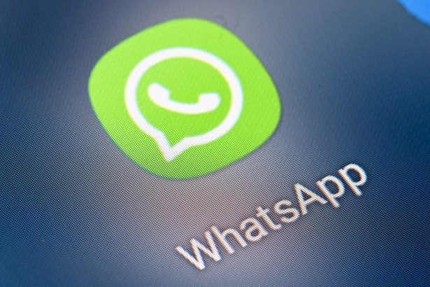 whatsapp lanseaza nume de utilizator dar intampina controverse in cea mai mare piata a sa care sunt motivele nemultumirilor 6a45f99084e2a