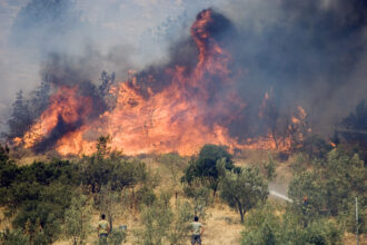 alerta extrema pentru romanii care calatoresc in grecia valul de caldura aduce cod rosu de incendii in numeroase regiuni 6a8d148e360d0