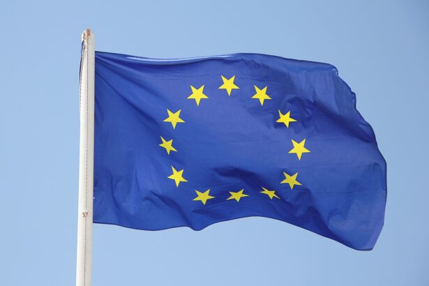 criza majora in spatiul schengen 22 de tari din ue cer sedinta de urgenta dupa valul masiv de migranti din ceuta 6a6e0e1f23819