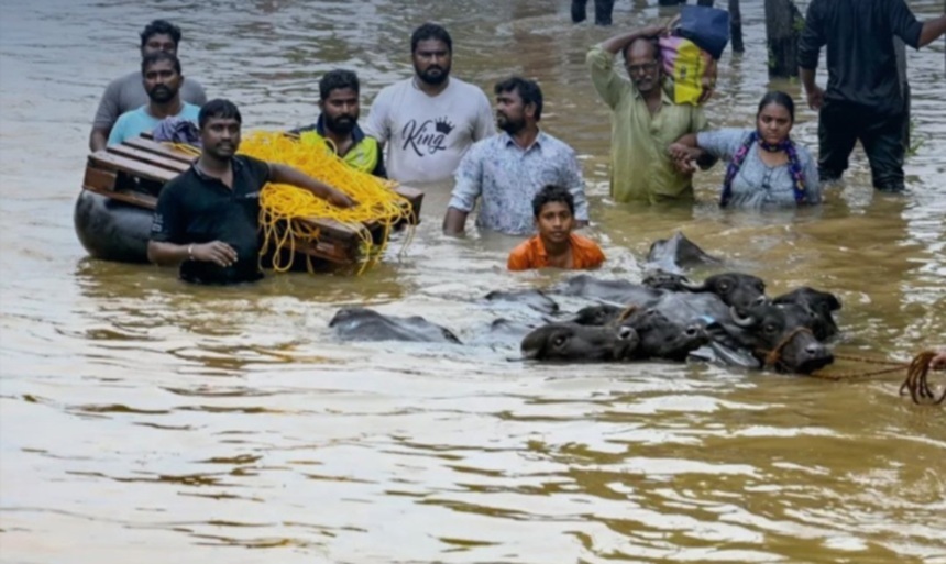 dezastru in india dupa ploile musonice zeci de morti si mii de oameni evacuati in statul assam 6a75f0ca71788
