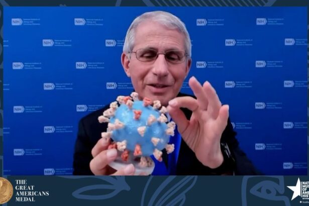 discutiile lui fauci despre vaccinul anti covid la gravide dezvaluite 6a7accd1b8707