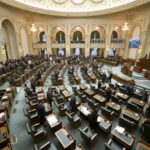 edited ancheta parlamentara pentru intalnirea dintre ilie bolojan si simina tanasescu senatul a votat pentru initierea demersurilor 6a8c497731c62