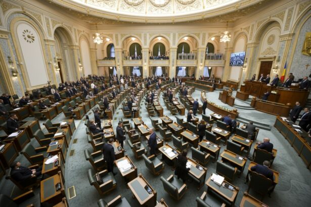 edited ancheta parlamentara pentru intalnirea dintre ilie bolojan si simina tanasescu senatul a votat pentru initierea demersurilor 6a8c497731c62