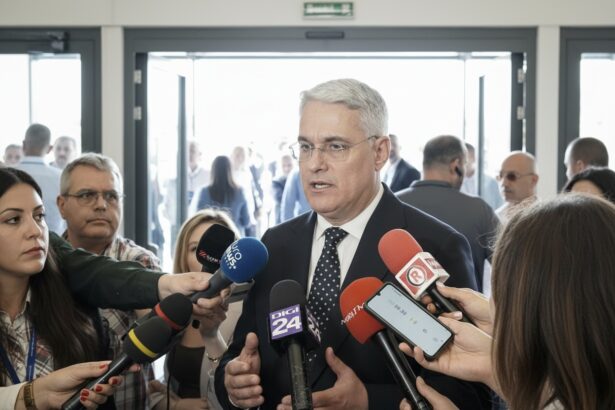 edited dupa oana gheorghiu si dragos pislaru isi asuma public mandatul de presedinte al unei filiale pnl din capitala 6a88ae2d8fe07