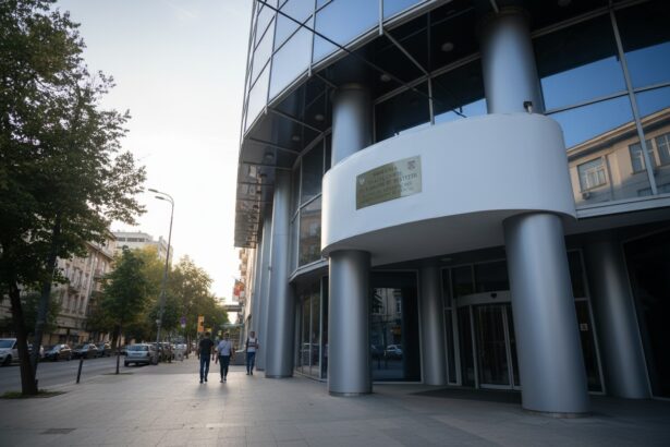 edited inalta curte mesaj dur dupa intalnirea sefei ccr cu ilie bolojan situatia nu poate ramane fara consecinte institutionale 6a82b64f4ac0e