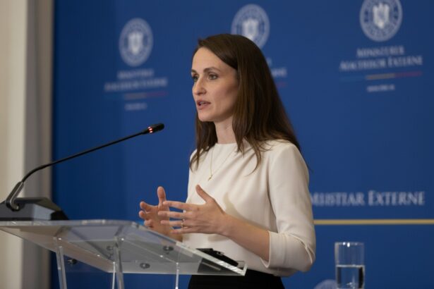 edited oana toiu dupa discutiile cu oficialii americani privind prezenta trupelor americane in europa congresul are o pozitie ferma pro nato in ambele tabere 6a931e141dc4e