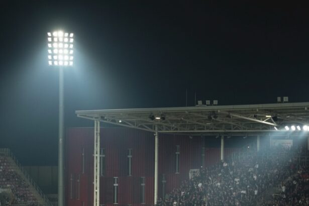 edited plangeri penale si sesizari la cncd dupa derby ul rapid dinamo presedintele partidei romilor rasismul in romania a atins cote alarmante 6a8547b519543