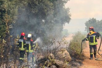 grecia sub asediul flacarilor in plin sezon turistic premierul mitsotakis avertizeaza asupra situatiei extrem de dificile 6a6f2768bbd0b