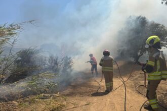 incendii in grecia aproape de atena doi morti si sute de oameni evacuati pe insula salamina 6a81efa580876