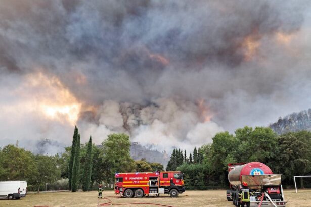 incendii puternice langa atena flacarile au ajuns pana la mare 6a6e33a87acf5