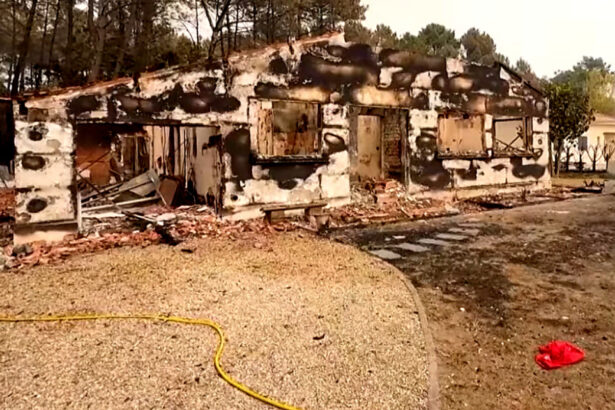 incendiile din sudul frantei au scos la lumina un depozit cu sute de proiectile din al doilea razboi mondial 6a719de765e7c