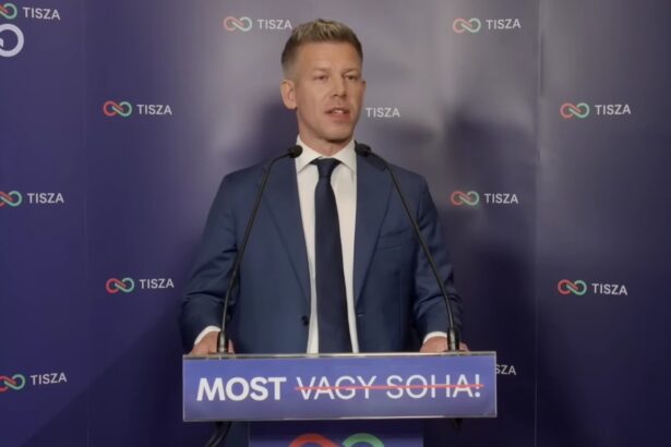 peter magyar comparat cu ceausescu dupa masurile privind energia ce restrictii ar putea fi aplicate in ungaria 6a6f31ce5b2b3