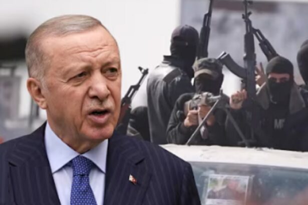 recep tayyip erdogan vrea extinderea pactului de aparare de la mecca ce rol ar putea juca egiptul in alianta militara 6a7c93fe95447