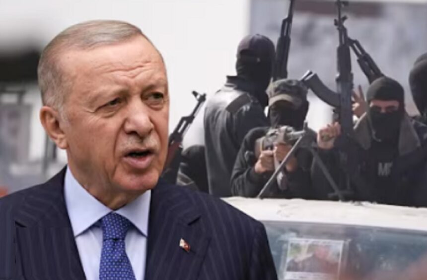 recep tayyip erdogan vrea extinderea pactului de aparare de la mecca ce rol ar putea juca egiptul in alianta militara 6a7c93fe95447