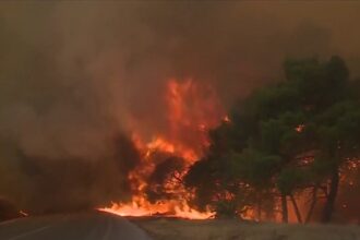 risc foarte ridicat de incendii de vegetatie in grecia avertisment pentru romanii care calatoresc in sudul tarii 6a80cf4131493
