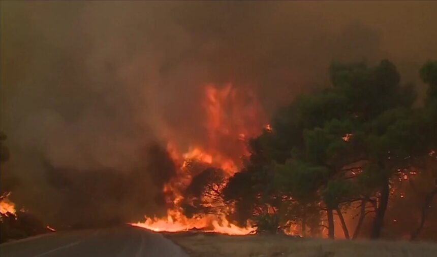 risc foarte ridicat de incendii de vegetatie in grecia avertisment pentru romanii care calatoresc in sudul tarii 6a80cf4131493