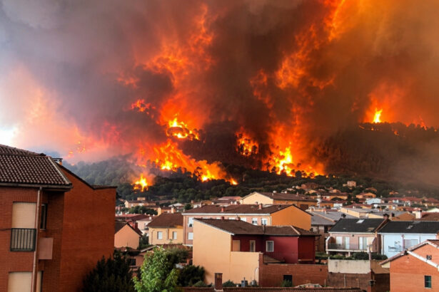 sute de oameni arestati dupa incendiile din franta printre suspecti sunt si 166 de minori 6a780f56e2212