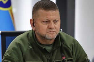 zalujnii nato este cu un deceniu in urma rusiei ucraina nu are perspective reale de aderare 6a7209a2e12f5