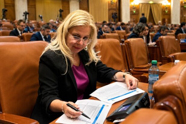 Deputata Gabriela Porumboiu initiatoarea proiectului privind anularea dobanzilor si penalitatilor pentru contribuabilii care isi achita datoria principala