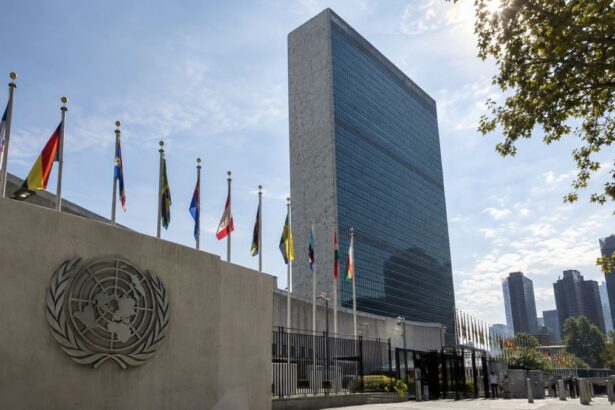 Sediul Organizației Națiunilor Unite din New York, cu sigla ONU și steagurile statelor membre.