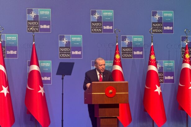 Președintele Turciei, Recep Tayyip Erdoğan, în contextul strategiei Ankarei între NATO și noile centre de putere globale