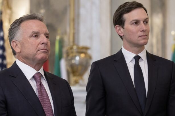 Witkoff si Kushner