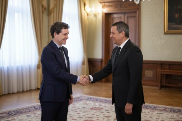 edited grindeanu dupa consultari i am spus presedintelui ca suntem pregatiti sa preluam guvernarea 6aab8aca813df