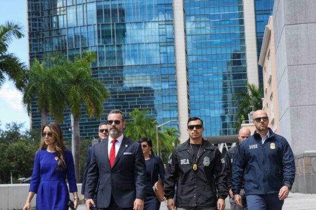 edited lovitura pentru fostul presedinte al venezuelei un complice alex saab a acceptat confiscarea a 195 de milioane de dolari 6aab722799823